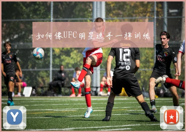 如何像UFC明星选手一样训练