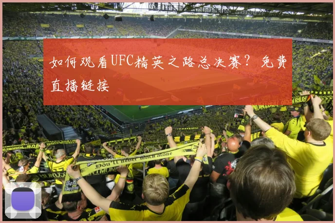 如何观看UFC精英之路总决赛?免费直播链接