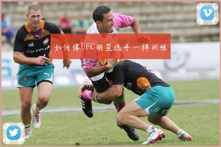 如何像UFC明星选手一样训练