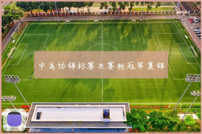 中高协锦标赛决赛轮冠军集锦